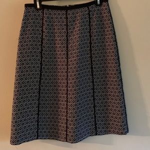 Ann Taylor Silk Skirt Sz 6